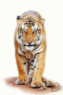 Telangana war for Jay? | जय’साठी तेलंगणा वारी Telangana war for Jay? | जय’साठी तेलंगणा वारी