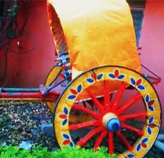 VIDEO - Pistachio emerald! | VIDEO- दमणी बनली शोभेची वस्तू ! VIDEO - Pistachio emerald! | VIDEO- दमणी बनली शोभेची वस्तू !