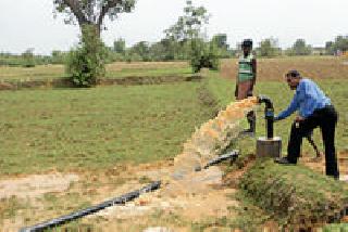 Regardless of the method of distributing the tube irrigation system, it is also noteworthy | नलिका सिंचन वितरण पद्धत मान्यतेनंतरही दुर्लक्षितच Regardless of the method of distributing the tube irrigation system, it is also noteworthy | नलिका सिंचन वितरण पद्धत मान्यतेनंतरही दुर्लक्षितच