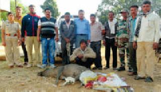 The leader of the hunting system, Ghazaad | शिकारप्रकरणातील म्होरक्या गजाआड