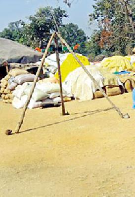 Purchase of 2 lakh 13 thousand quintals of rice | २ लाख १३ हजार क्विंटल धान खरेदी Purchase of 2 lakh 13 thousand quintals of rice | २ लाख १३ हजार क्विंटल धान खरेदी