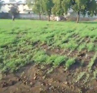 VIDEO: Police threw the farm in police station | VIDEO: पोलिसांनी पोलीस ठाण्यातच फुलवली शेती