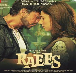 A new poster release of six films with Rais, Rangoon | रईस, रंगूनसहीत 6 सिनेमांचे नवीन पोस्टर रिलीज