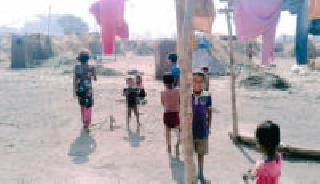 Childhood in cane harvest | ऊसाच्या फडात करपतेय बालपण Childhood in cane harvest | ऊसाच्या फडात करपतेय बालपण