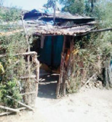 The murder of a brother by his brother in a house dispute | घरगुती वादातून भावानेच केली भावाची हत्या