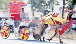 No Rath! : | टांगा नव्हे रथ ! : No Rath! : | टांगा नव्हे रथ ! :