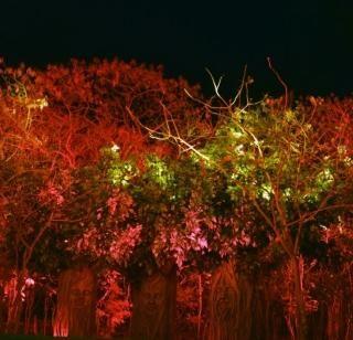 In the Botanical Gardens of Nashik, the gangster was beaten up | नाशिकमधील बोटॅनिकल गार्डनमध्ये गुंडांची तोडफोड In the Botanical Gardens of Nashik, the gangster was beaten up | नाशिकमधील बोटॅनिकल गार्डनमध्ये गुंडांची तोडफोड