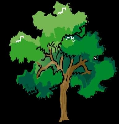 1900 Burdwan slaughter house for development projects | विकास प्रकल्पांसाठी १९०० वृक्षांची कत्तल