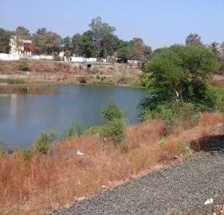 The beauty of the English pond is hidden in the shrubs | इंग्रजकालीन तलावाचे सौंदर्य लपले झुडपात
