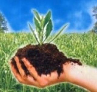 Use of organic fertilizers by 21 thousand farmers | २१ हजार शेतक-यांकडून जैविक खतांचा वापर