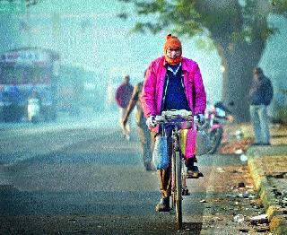 Hoodhudhi district! | जिल्ह्याला हुडहुडी!