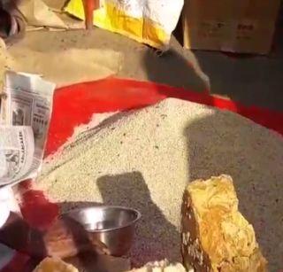 Akola market in Gavran taluka of Sankranta | अकोला बाजारपेठेत गावरान तिळावर संक्रांत Akola market in Gavran taluka of Sankranta | अकोला बाजारपेठेत गावरान तिळावर संक्रांत