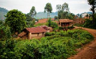 Priority to the development of 64 villages in the buffer zone | बफर झोनमधील ६४ गावांच्या विकासास प्राधान्य Priority to the development of 64 villages in the buffer zone | बफर झोनमधील ६४ गावांच्या विकासास प्राधान्य