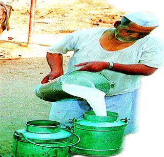 The milk will be expensive | दूध महागणार The milk will be expensive | दूध महागणार