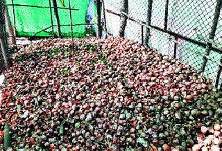 Low onion, tomatoes | कांदे, टमाट्याला नीचांकी भाव Low onion, tomatoes | कांदे, टमाट्याला नीचांकी भाव