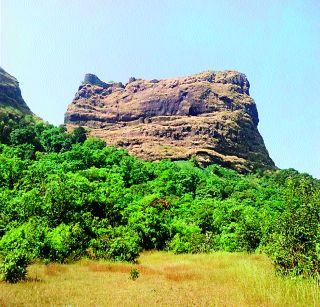 The history of the history is ignored | इतिहासाचे साक्षीदार उपेक्षितच The history of the history is ignored | इतिहासाचे साक्षीदार उपेक्षितच