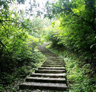 Manechiye ganthi - The distance will go away | मनाचिये गुंथी - ही वाट दूर जाते Manechiye ganthi - The distance will go away | मनाचिये गुंथी - ही वाट दूर जाते