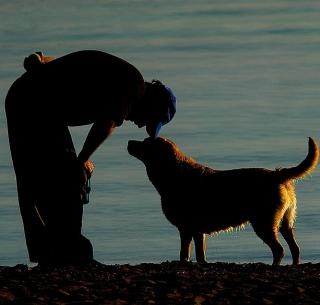 Pune: A mournful youth's suicide due to the death of a beloved dog | पुणे : लाडक्या कुत्र्याच्या मृत्यूमुळे शोकाकुल तरूणाची आत्महत्या Pune: A mournful youth's suicide due to the death of a beloved dog | पुणे : लाडक्या कुत्र्याच्या मृत्यूमुळे शोकाकुल तरूणाची आत्महत्या
