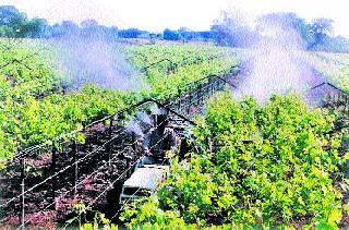 Impact of the balloon | फुगवणीवर परिणाम