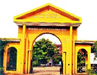 Functionality according to the government's policy | शासनाच्या धोरणानुसारच कामकाज