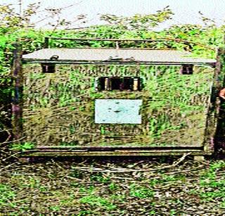 Cage at the end | चिंचणीत अखेर लावला पिंजरा Cage at the end | चिंचणीत अखेर लावला पिंजरा