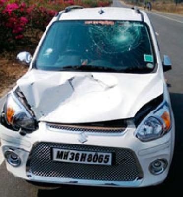 The deer killed in the vehicle | वाहनाच्या धडकेत हरीण ठार