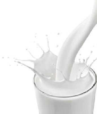 Lack of three thousand liters of milk in the district | जिल्ह्यात तीन हजार लीटरने घटली दुधाची आवक