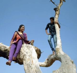 The tree that had been witness to the love of Archie-Parrish was broken | आर्ची-परश्याच्या प्रेमाची साक्षीदार असलेली ' ती' फांदी तुटली The tree that had been witness to the love of Archie-Parrish was broken | आर्ची-परश्याच्या प्रेमाची साक्षीदार असलेली ' ती' फांदी तुटली