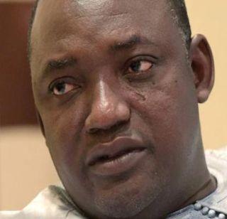 The death of the President's son due to dog bites | कुत्रा चावल्याने राष्ट्रपतीच्या मुलाचा मृत्यू The death of the President's son due to dog bites | कुत्रा चावल्याने राष्ट्रपतीच्या मुलाचा मृत्यू