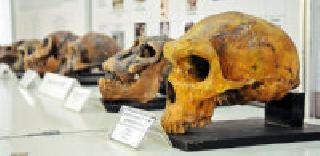 A new discovery is the identity of a good scientist | नवीन शोध हीच चांगल्या वैज्ञानिकाची ओळख A new discovery is the identity of a good scientist | नवीन शोध हीच चांगल्या वैज्ञानिकाची ओळख