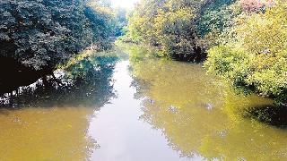 Malakapure 'Brandy' water stink | मलकापुरात ‘शाळी’च्या पाण्यास दुर्गंधी