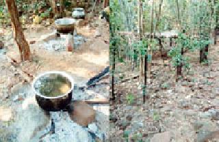 Naxal camp destroyed: | नक्षल शिबिर उद्ध्वस्त : Naxal camp destroyed: | नक्षल शिबिर उद्ध्वस्त :