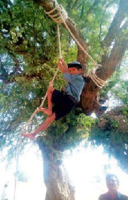 Scout-guide rally at Umarkhed | उमरखेड येथे स्काऊट-गाईड मेळावा Scout-guide rally at Umarkhed | उमरखेड येथे स्काऊट-गाईड मेळावा