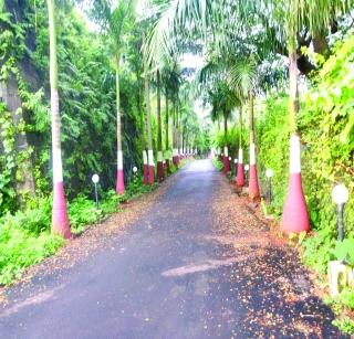 Vasai police colonies stole the land | वसई पोलीस वसाहतीतील जमीन चोरीस Vasai police colonies stole the land | वसई पोलीस वसाहतीतील जमीन चोरीस