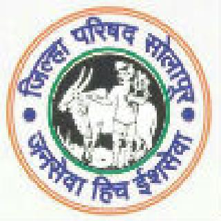 Panchayat of 'Shree' for 'hundred' in Malshirsa | माळशिरसमध्ये ‘सौ’साठी ‘श्रीं’ची झाली पंचायत