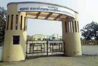 Ready to build the Gadchiroli retired office building | गडचिरोली वनवृत्त कार्यालयाची इमारत सज्ज