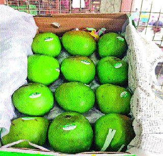 Karnataka Hapus file | कर्नाटक हापूस दाखल