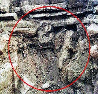 History of Bankruptcy | दिवाळखोरीचा इतिहास History of Bankruptcy | दिवाळखोरीचा इतिहास