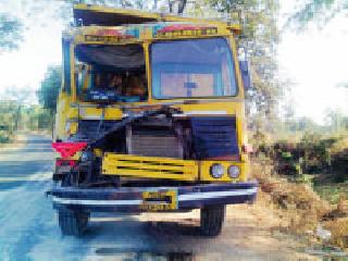 The buffalo was flooded when three tips were filled in ashes at Birsi. | बिरसी येथे तीन टिप्पर राख भरून जात असताना म्हैस आडवी आली. The buffalo was flooded when three tips were filled in ashes at Birsi. | बिरसी येथे तीन टिप्पर राख भरून जात असताना म्हैस आडवी आली.