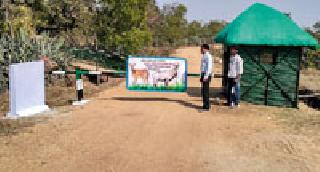 Kalavitt's view of Managaga | मानेगावात काळविटांचे दर्शन Kalavitt's view of Managaga | मानेगावात काळविटांचे दर्शन