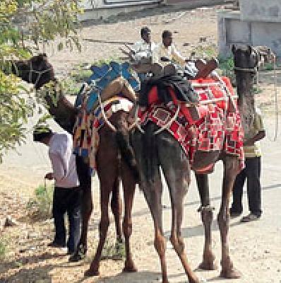 Ship in the desert: | वाळवंटातील जहाज :