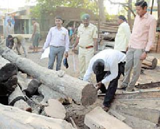 Finally, 'She' | -अखेर ‘ती’ आरागिरणी सील