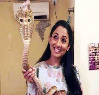 Cobra with video, TV actress arrested | कोब्रासोबत व्हिडीओ, टीव्ही अभिनेत्रीला अटक Cobra with video, TV actress arrested | कोब्रासोबत व्हिडीओ, टीव्ही अभिनेत्रीला अटक
