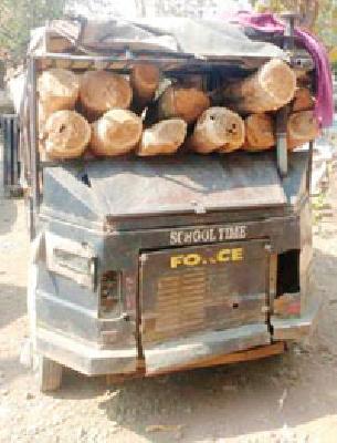 Illegal smuggling smuggling | अवैध सागवान तस्करी सुरुच Illegal smuggling smuggling | अवैध सागवान तस्करी सुरुच