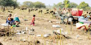 World of wandering: | भटक्यांचा संसार : World of wandering: | भटक्यांचा संसार :