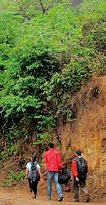 Pohar-Chirodi forest leads to eco tourism | पोहरा-चिरोडी जंगलाची इको टुरिझमकडे वाटचाल