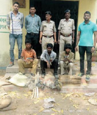 Three birds hunt | पक्ष्यांची शिकार करणारे तिघे अटकेत