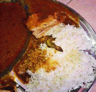 Sitting in the hostel's dining room | वसतिगृहातील जेवणात आढळली पाल Sitting in the hostel's dining room | वसतिगृहातील जेवणात आढळली पाल