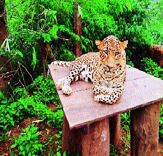 27 deaths in sixteen years | सोळा वर्षांत २७ जणांचा मृत्यू