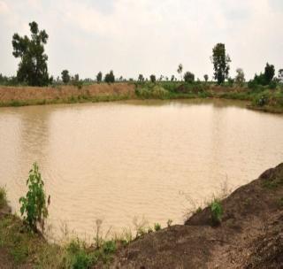 Administration administration to meet the needs of the farmers | शेततळय़ांच्या उद्दिष्टपूर्तीसाठी प्रशासनाचा आटापिटा